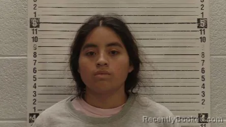 Mugshot of TEODOLINDA TOMAS-LOPEZ booked in Luna County, New Mexico on April 6, 2026