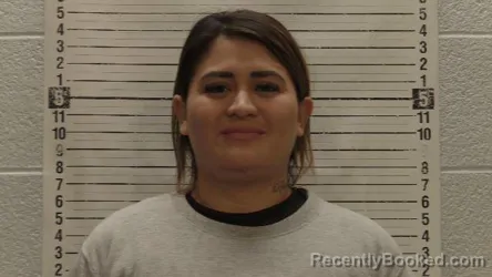 Mugshot of ADELAYDA DE HERNANDEZ booked in Luna County, New Mexico on April 6, 2026