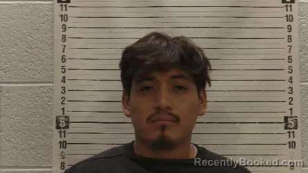 Mugshot of ANGEL ARENAS-BLAS booked in Luna County, New Mexico on April 6, 2026