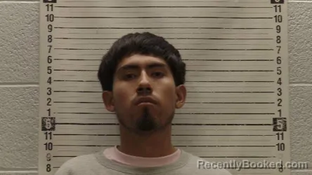 Mugshot of BRIAN LEON-MEJIA booked in Luna County, New Mexico on April 6, 2026