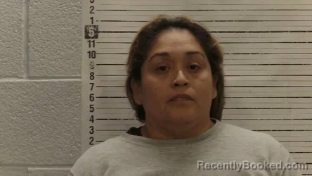 Mugshot of MARIA PALMA DZUL booked in Luna County, New Mexico on April 6, 2026