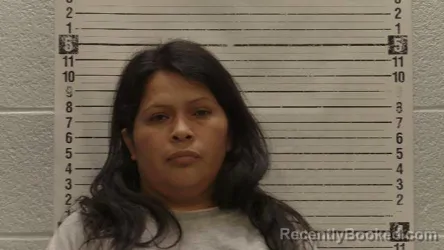 Mugshot of MINERVA GONZALEZ-ZAVALA booked in Luna County, New Mexico on April 6, 2026