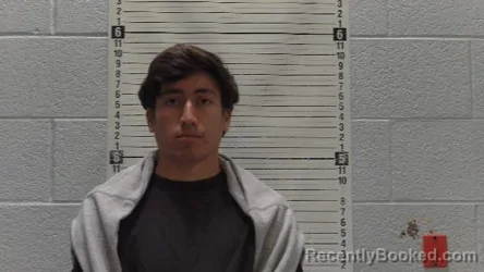 Mugshot of LUIS SAYAGO-MENDEZ booked in Luna County, New Mexico on April 8, 2026