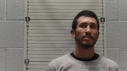 Mugshot of JORGE ALDABA-ALVARADO booked in Luna County, New Mexico on April 9, 2026