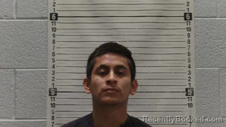 Mugshot of PEDRO DE JESUS-TREJO booked in Luna County, New Mexico on April 10, 2026