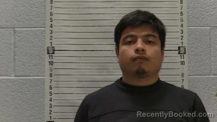 Mugshot of ALFREDO VILLEGAS-FRANCO booked in Luna County, New Mexico on April 10, 2026