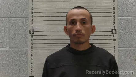 Mugshot of FRANCISCO RAMIREZ-VIELMAS booked in Luna County, New Mexico on April 10, 2026