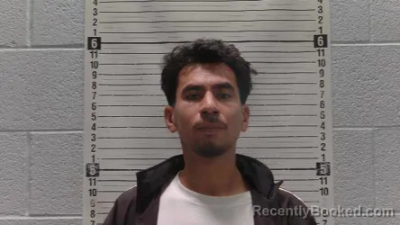 Mugshot of GIBRAN MEJIA booked in Luna County, New Mexico on May 1, 2026