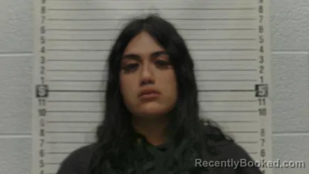 Mugshot of EVELYN TINDALL booked in Luna County, New Mexico on May 24, 2026