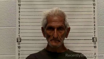 Mugshot of DOMINIC ANDERSON booked in Luna County, New Mexico on June 28, 2026