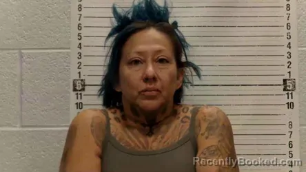 Mugshot of NATASHA NICOLE BROWN booked in Luna County, New Mexico on July 3, 2026