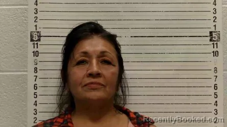 Mugshot of PATRICIA LYNN LUJAN booked in Luna County, New Mexico on July 7, 2026