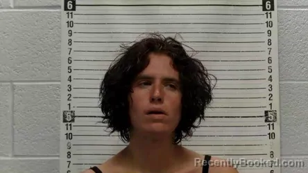 Mugshot of AMBER ROSE ALFRED booked in Luna County, New Mexico on July 12, 2026