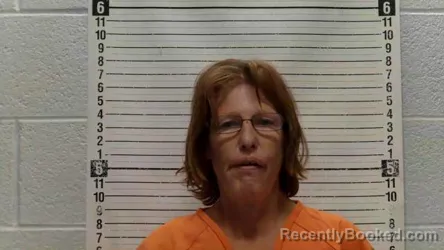 Mugshot of STEPHANIE BETH FRANSTED booked in Luna County, New Mexico on July 12, 2026