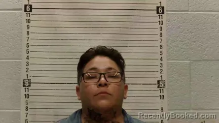 Mugshot of VERONICA PACHECO-CANO booked in Luna County, New Mexico on July 19, 2026