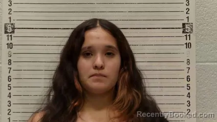 Mugshot of HANNAH SAENZ booked in Luna County, New Mexico on July 24, 2026