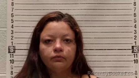 Mugshot of Destiny Godlewski booked in Luna County, New Mexico on August 11, 2026
