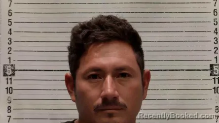 Mugshot of Donald Herrera-Alcanje booked in Luna County, New Mexico on August 17, 2026