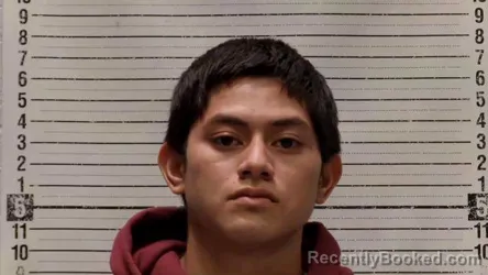 Mugshot of Anderson Lima-Perez booked in Luna County, New Mexico on August 17, 2026