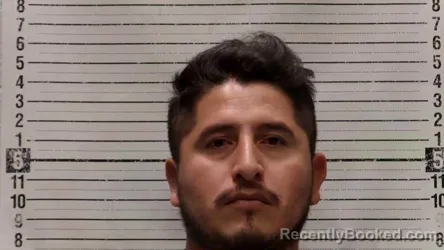 Mugshot of Eder Delgadillo-Resenos booked in Luna County, New Mexico on August 17, 2026