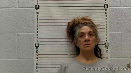 Mugshot of Jennifer Lee White booked in Luna County, New Mexico on August 18, 2026