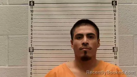 Mugshot of Jose De La Rosa-Salinas booked in Luna County, New Mexico on August 21, 2026