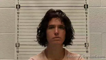 Mugshot of Amber Rose Alfred booked in Luna County, New Mexico on August 24, 2026