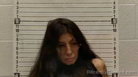 Mugshot of Lori Ann Galvan booked in Luna County, New Mexico on August 27, 2026