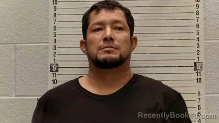 Mugshot of Henry Alexi Ramirez booked in Luna County, New Mexico on September 8, 2026