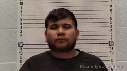 Mugshot of Jesus Arellano-Martinez booked in Luna County, New Mexico on October 9, 2026