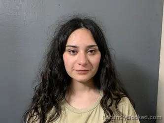 Mugshot of Alejandra Isidra Alamia booked in Hardee County, Florida on May 17, 2026