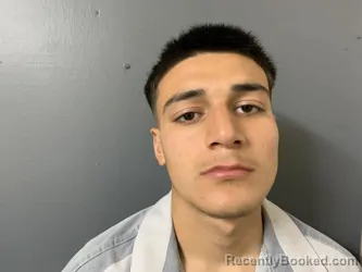 Mugshot of Daviel Alvarez- Salgado