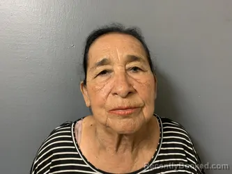Mugshot of ROSA ALICIA ALVARADO booked in Hardee County, Florida on July 29, 2026