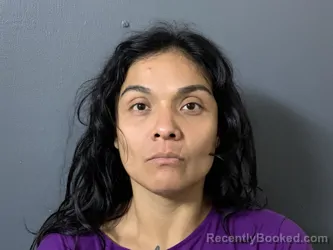 Mugshot of Vianca Bruno booked in Hardee County, Florida on September 15, 2026