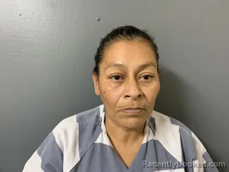 Mugshot of Julie Ann Carrion