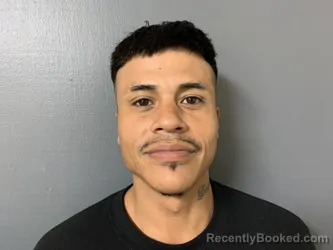 Booking photo from Hardee County, Florida