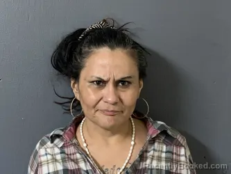 Mugshot of Monica Marie Castillo booked in Hardee County, Florida on September 11, 2026