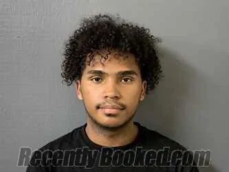 Booking photo from Hardee County, Florida