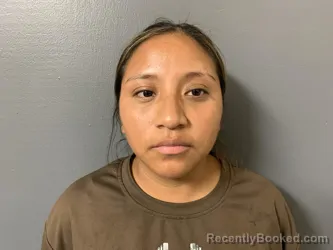 Mugshot of Audilia Rojalina Gabriel Lopez booked in Hardee County, Florida on August 18, 2026