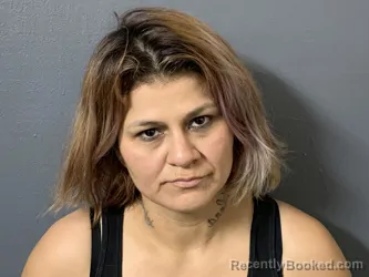 Mugshot of Jessica Elena Gutierrez booked in Hardee County, Florida on July 10, 2026
