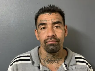 Mugshot of Luis Guadalupe Gomez