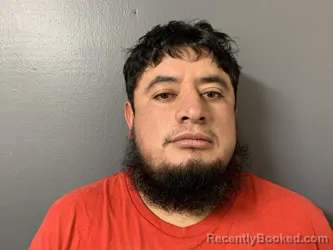 Mugshot of Mario Alejandro Gonzalez Solis booked in Hardee County, Florida on May 12, 2026