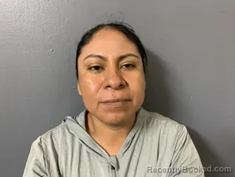 Mugshot of Oetencia Gonzalez Jose booked in Hardee County, Florida on April 3, 2026