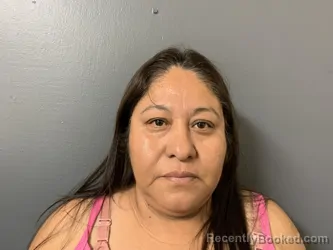 Mugshot of Ana Maria Hernandez Cruz