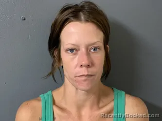 Mugshot of Kasie Simone Hicks booked in Hardee County, Florida on June 23, 2026