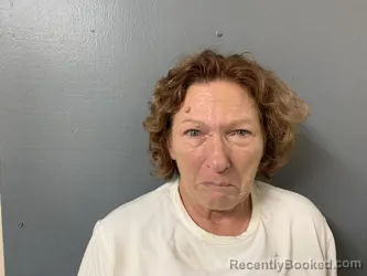 Mugshot of Karen Denise Keene booked in Hardee County, Florida on October 2, 2026