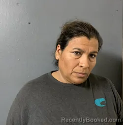 Mugshot of Alejandra Lopez booked in Hardee County, Florida on August 28, 2026