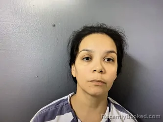 Mugshot of Nina Miranda Lopez Sandoval booked in Hardee County, Florida on April 22, 2026