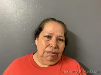 Mugshot of Silvia Lazano