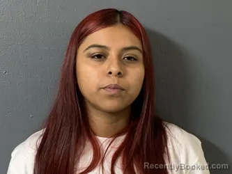 Mugshot of Arianna Medrano booked in Hardee County, Florida on June 29, 2026